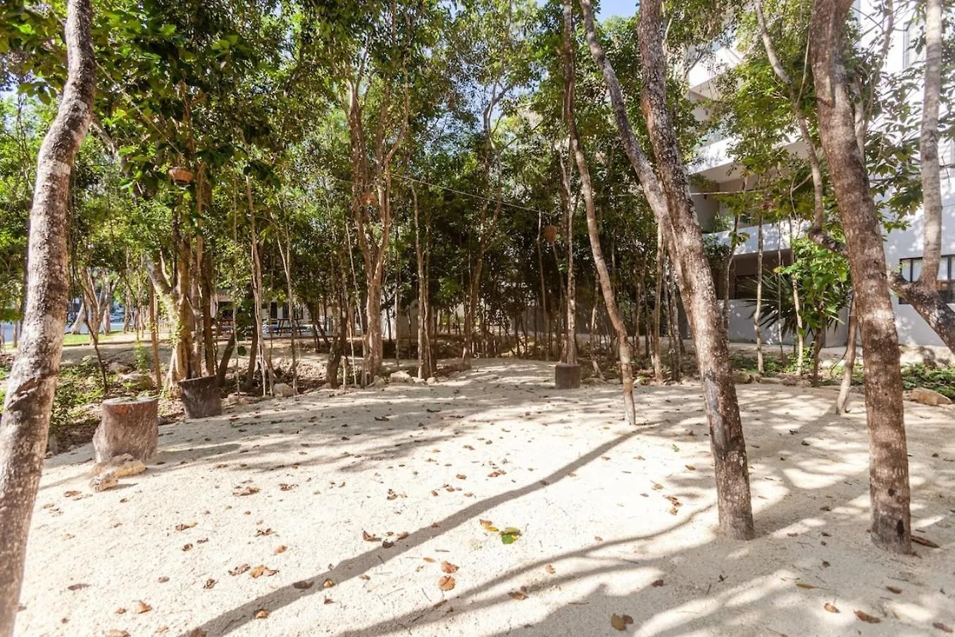 Vila Omg! New Casa Tortuga10Mincaribewifi 200Mbgym Playa del Carmen 0*,