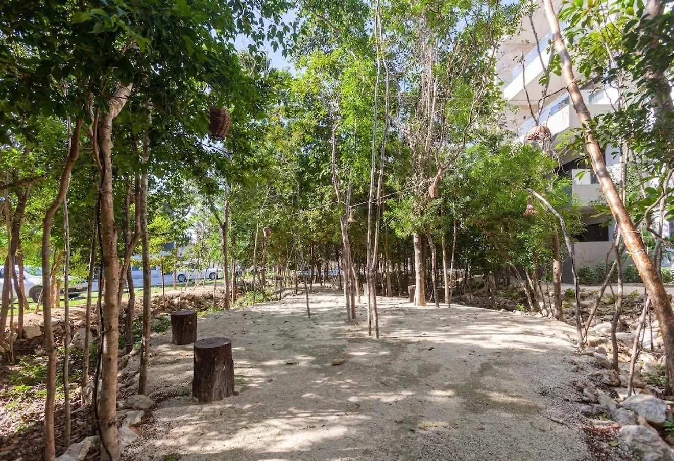 Vila Omg! New Casa Tortuga10Mincaribewifi 200Mbgym Playa del Carmen
